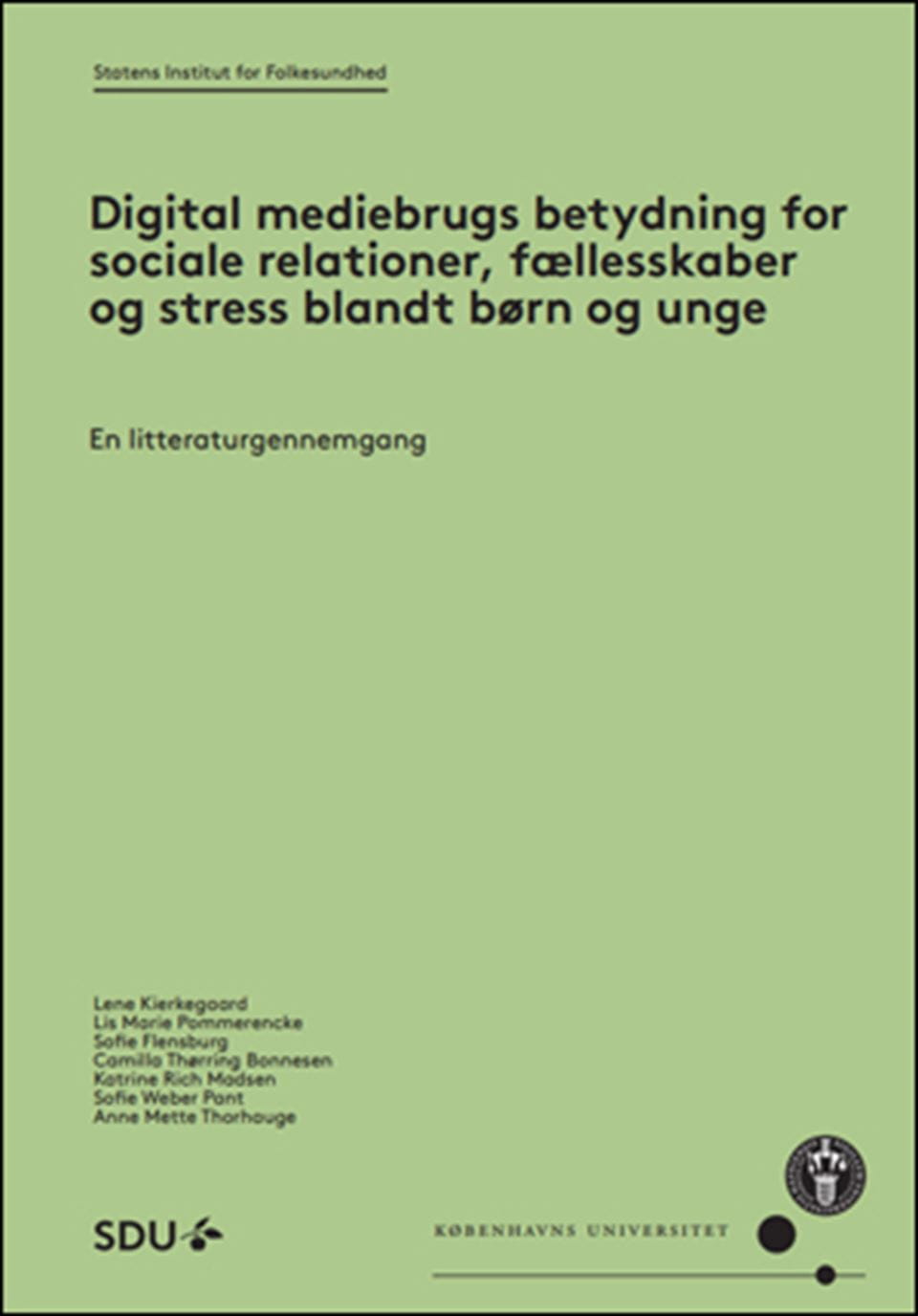 Digital mediebrug