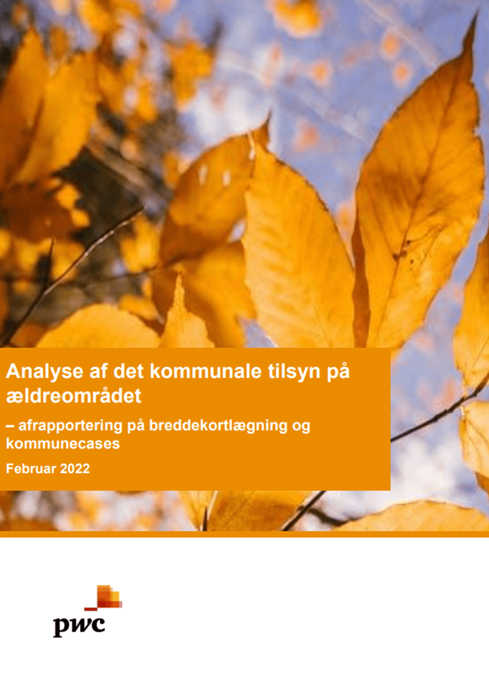 Forside af analyse