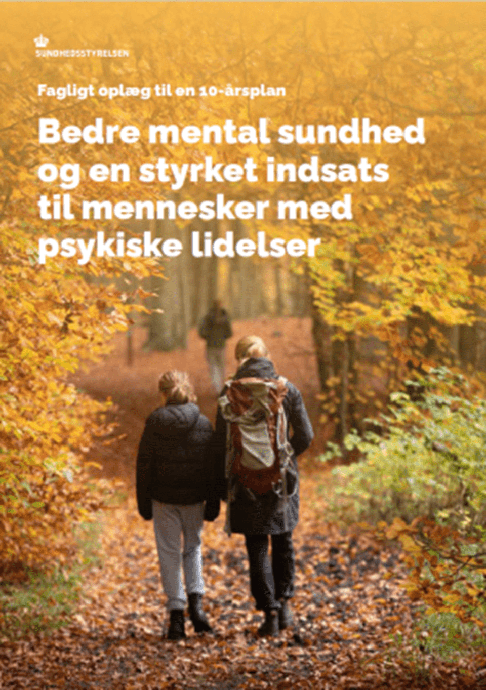 Forside til 10-årsplanen