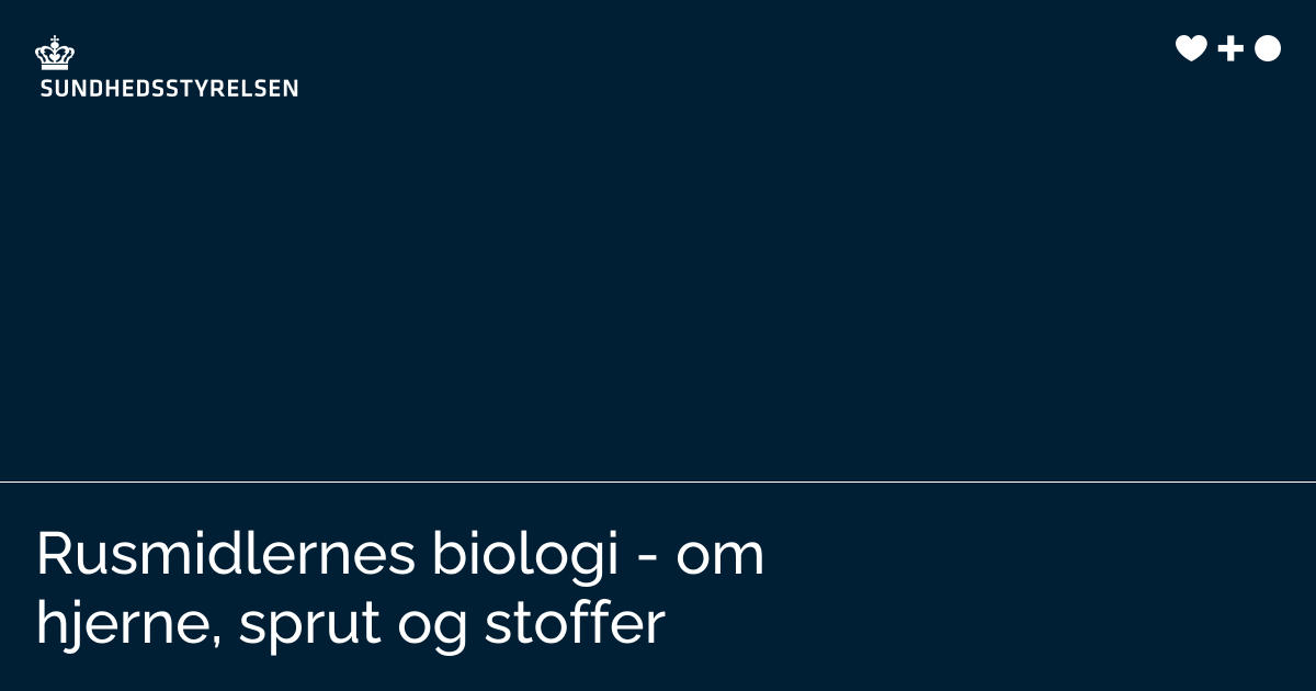 Rusmidlernes biologi - om hjerne, sprut og stoffer | Sundhedsstyrelsen